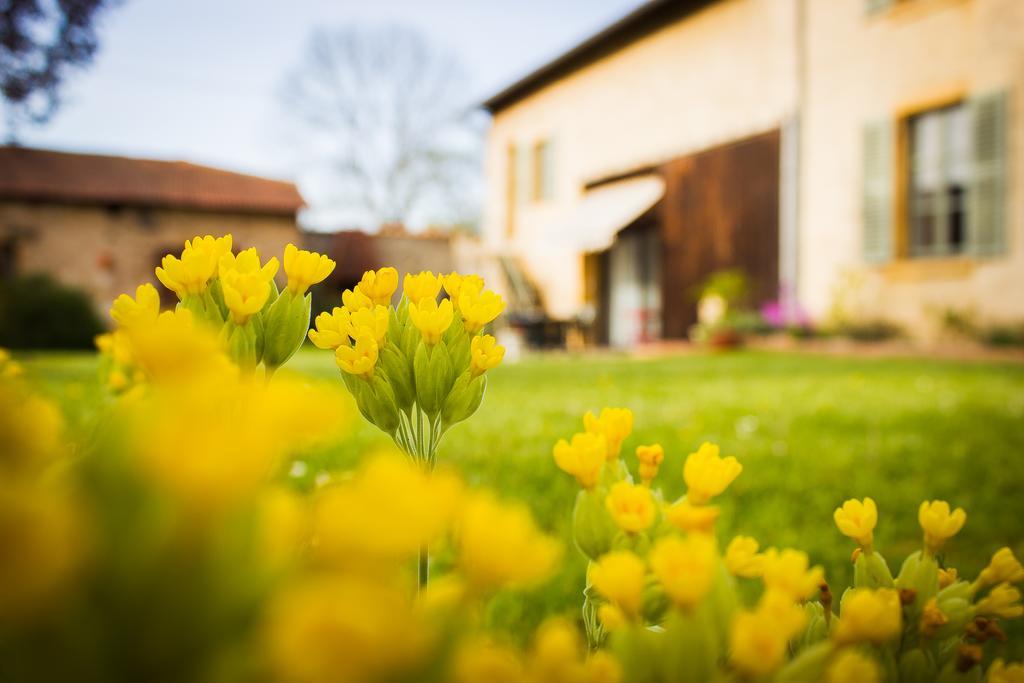 Aux Ronzieres Bed & Breakfast Pouilly-sous-Charlieu Rom bilde